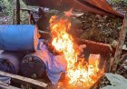 Antidrogas destruyen plantación de hoja de coca en Olancho