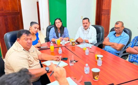 Gestionan nuevos proyectos electricos para comunidades de Yoro