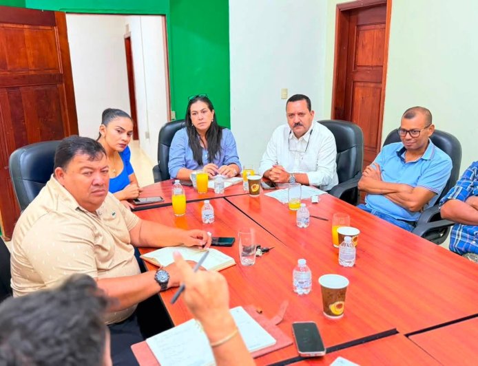 Gestionan nuevos proyectos electricos para comunidades de Yoro