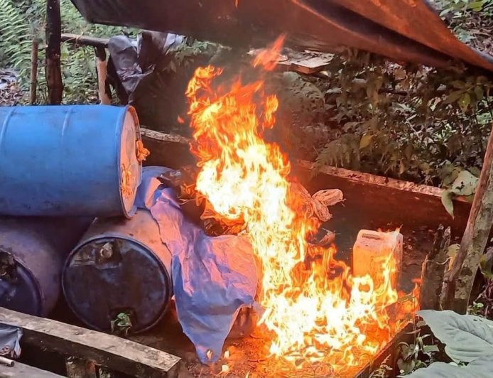 Antidrogas destruyen plantación de hoja de coca en Olancho