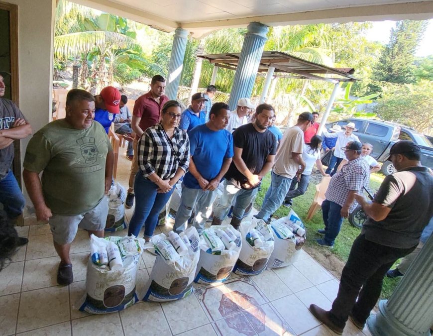 Alcaldia y la SAG fortalecen el agro en Omoa, Cortés